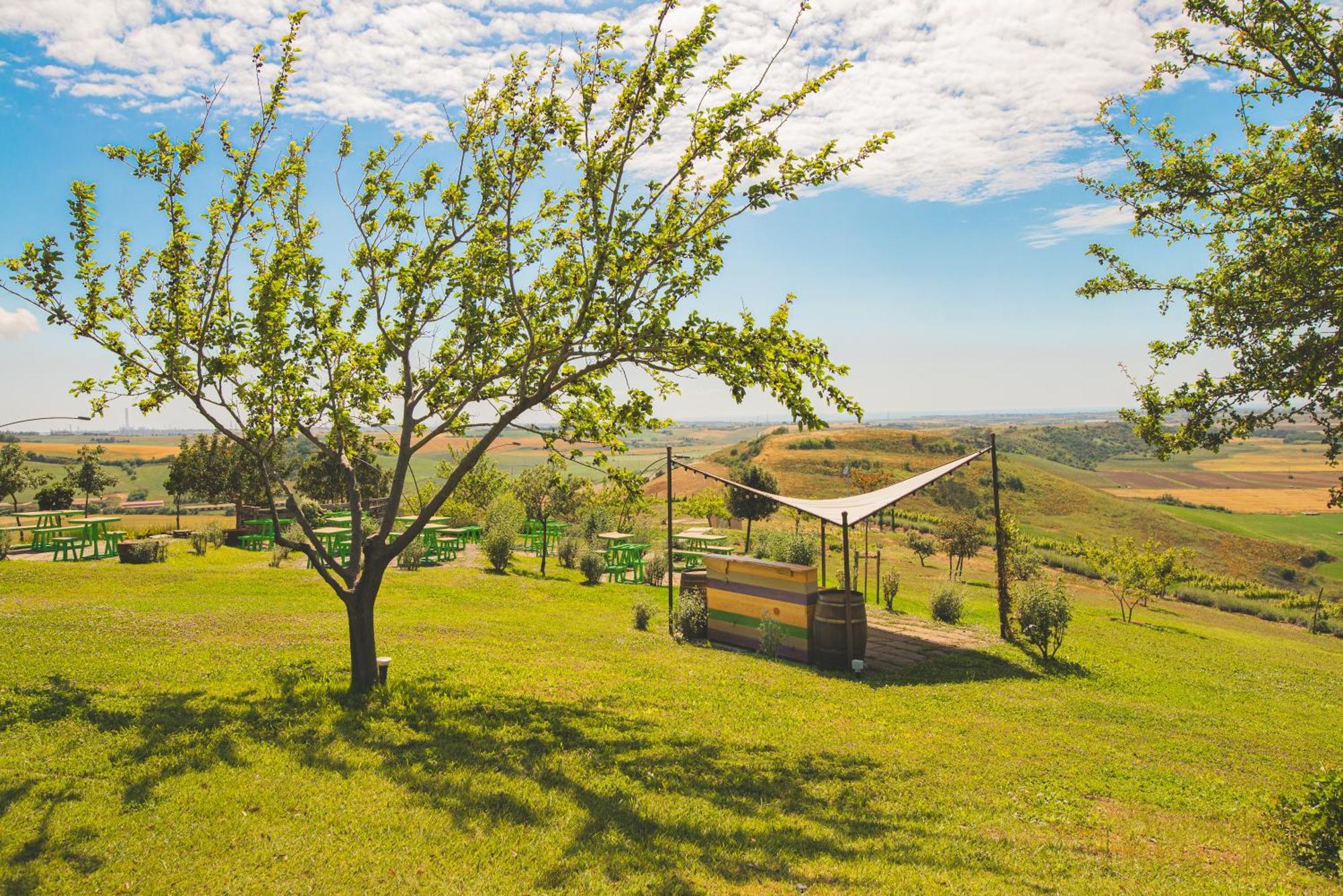 Casale Poggio Nebbia Villa Tarquinia Exteriör bild