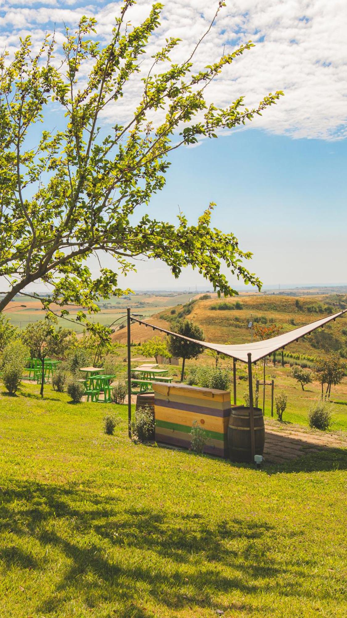 Casale Poggio Nebbia Villa Tarquinia Exteriör bild